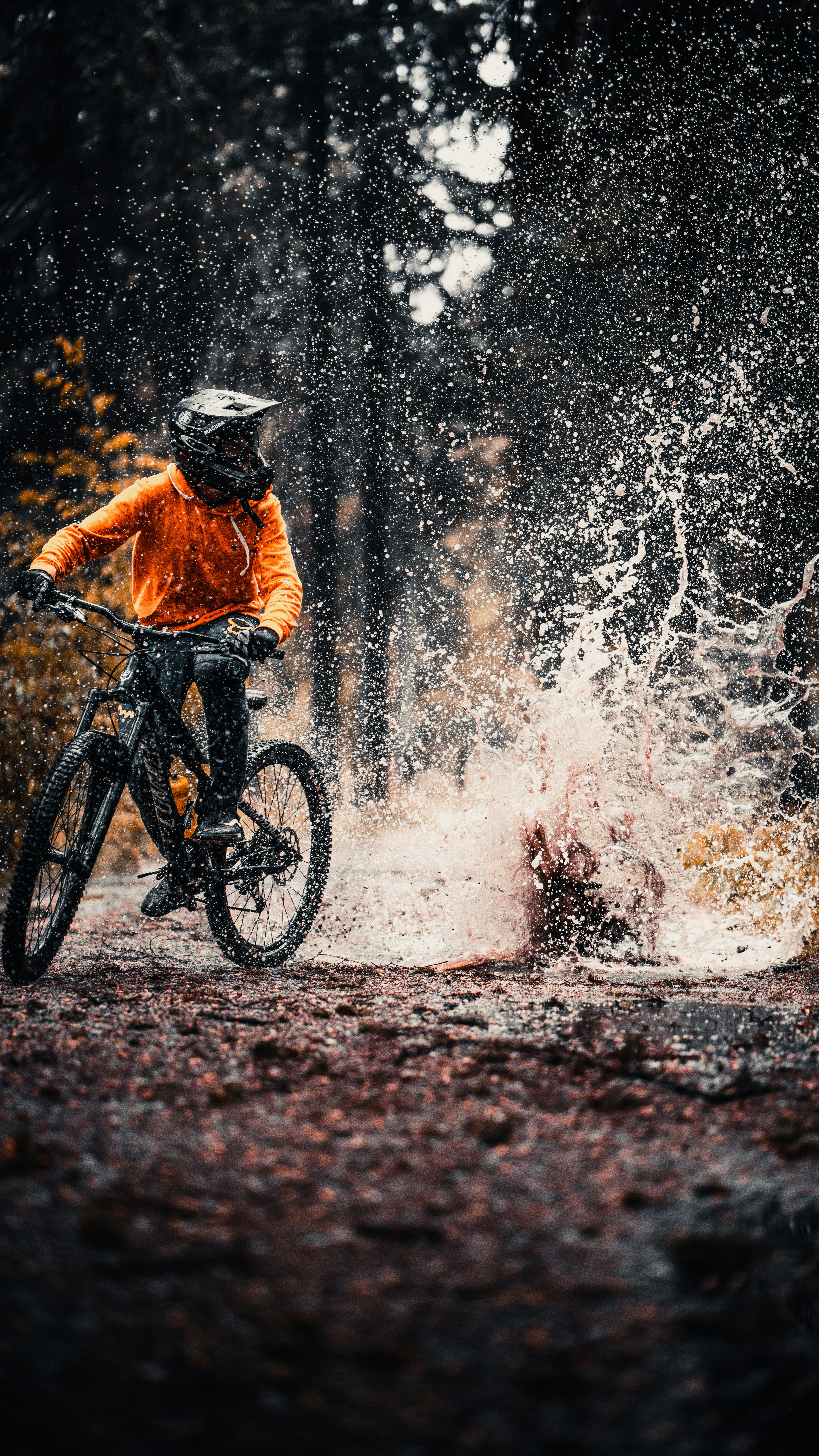 Bikepark Action